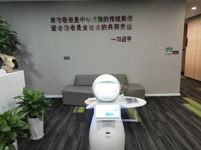 上海質量醫療機器人誠信服務 昆山新正源機器人智能科技供應與消費機器人銷售